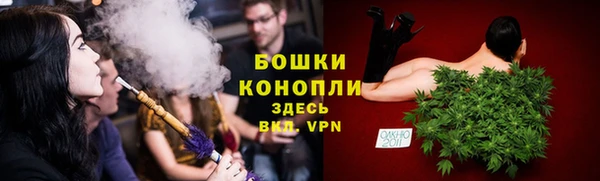 ГАЛЛЮЦИНОГЕННЫЕ ГРИБЫ Белоозёрский