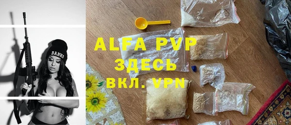 ГАЛЛЮЦИНОГЕННЫЕ ГРИБЫ Белоозёрский