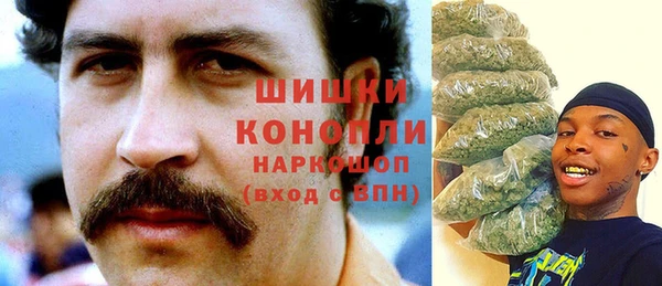 спайс Баксан