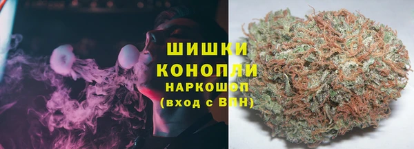 шишки Балабаново
