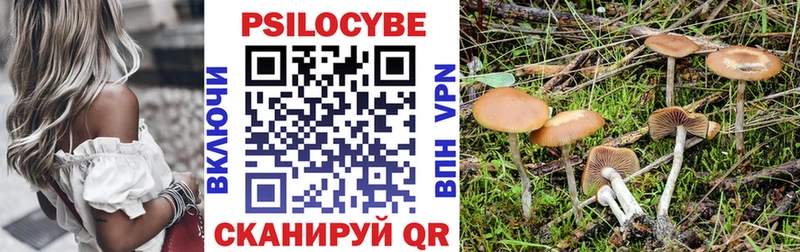 МЕГА ссылки  Венёв  Галлюциногенные грибы Cubensis 