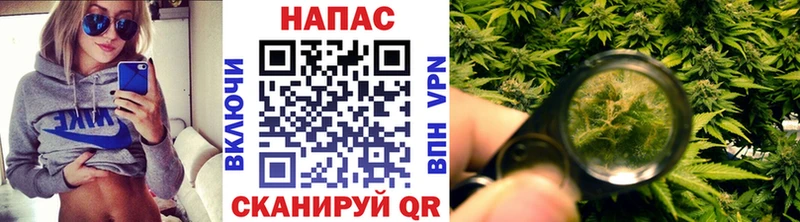 Конопля Ganja Венёв